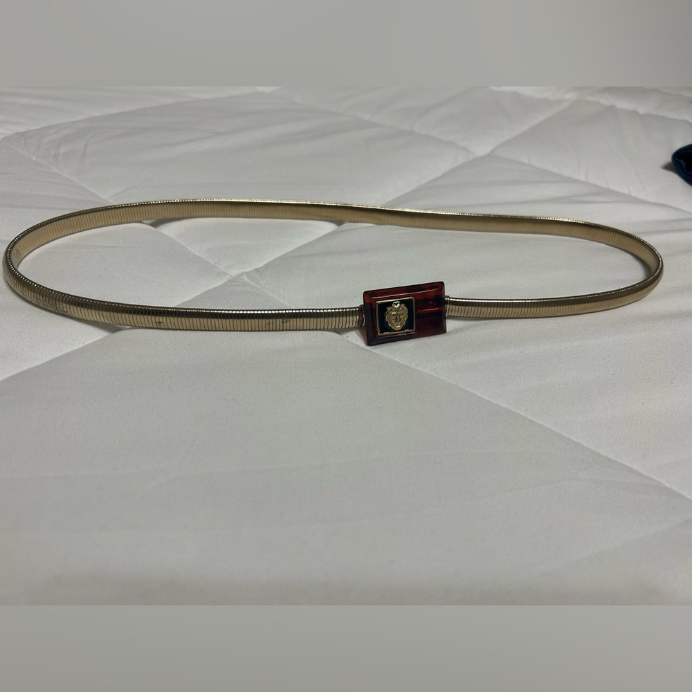 ⭐️5/$15 Anne Klein Vintage Lion Brown Gold Waist Belt